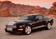 Shelby Cobra GT500 Show Car